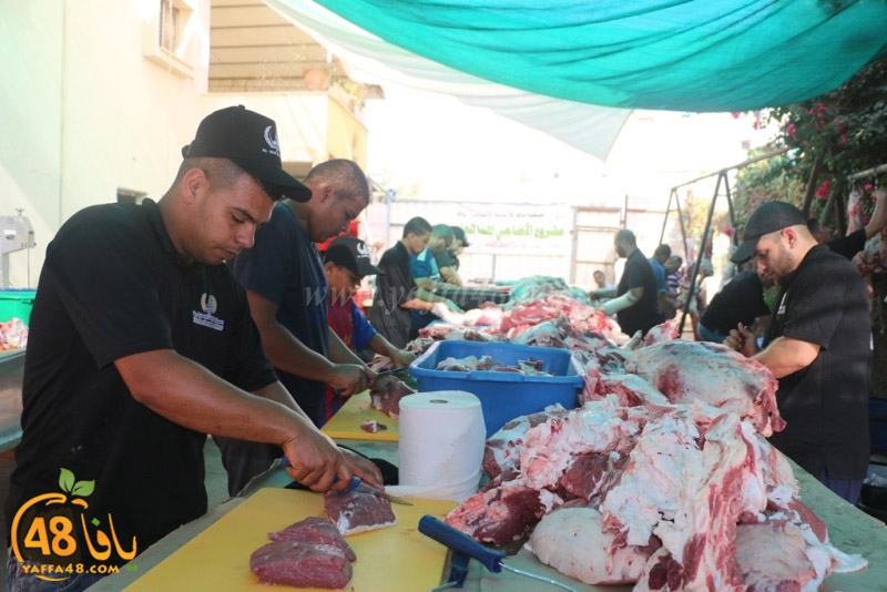 lod8om ada73y (95).JPG